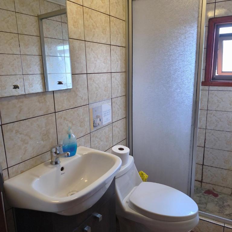 Hostal Entre Termas y Lagos - Twin Room with Private Bathroom - 3