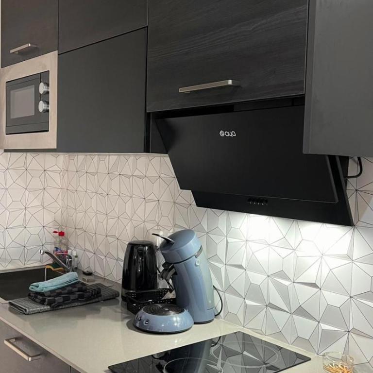 Chouette t2 Aiguebelle - Appartement 1 Chambre - 13