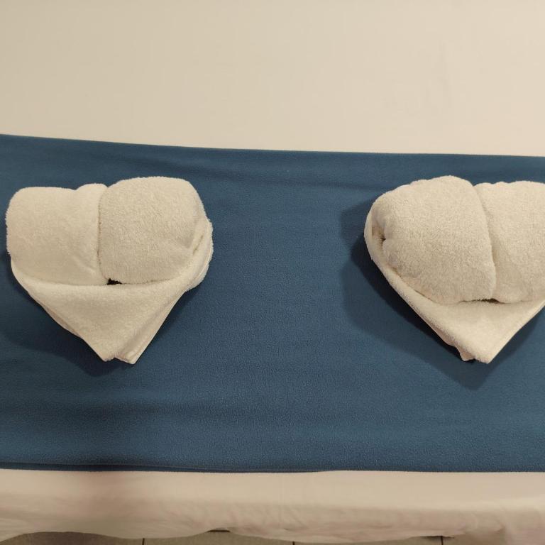 Hostal Darwin - Habitación Doble - 1 o 2 camas - 1