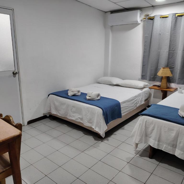 Hostal Darwin - Habitación Doble - 1 o 2 camas - 7