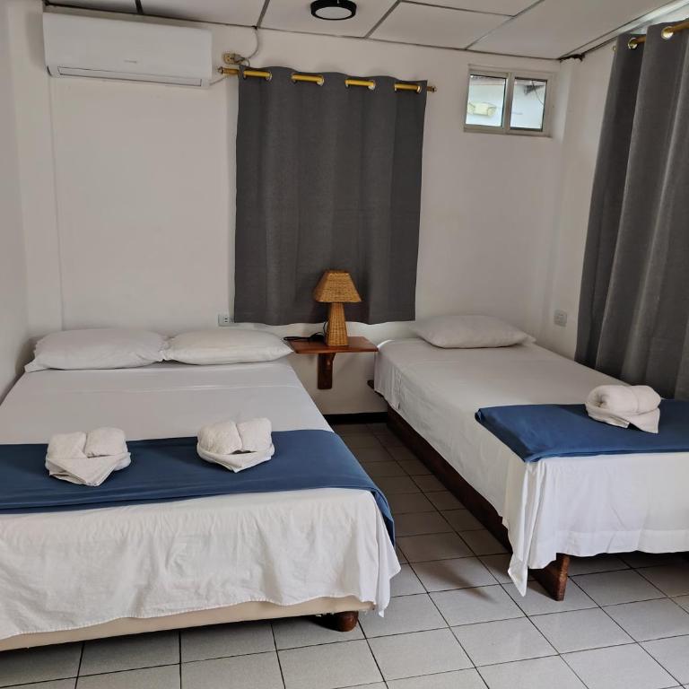 Hostal Darwin - Habitación Doble - 1 o 2 camas - 9