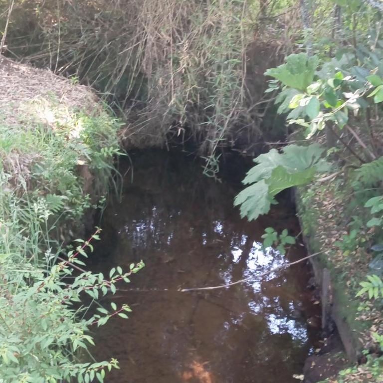 Domo Trasmahue - Casa de 2 dormitorios - 8