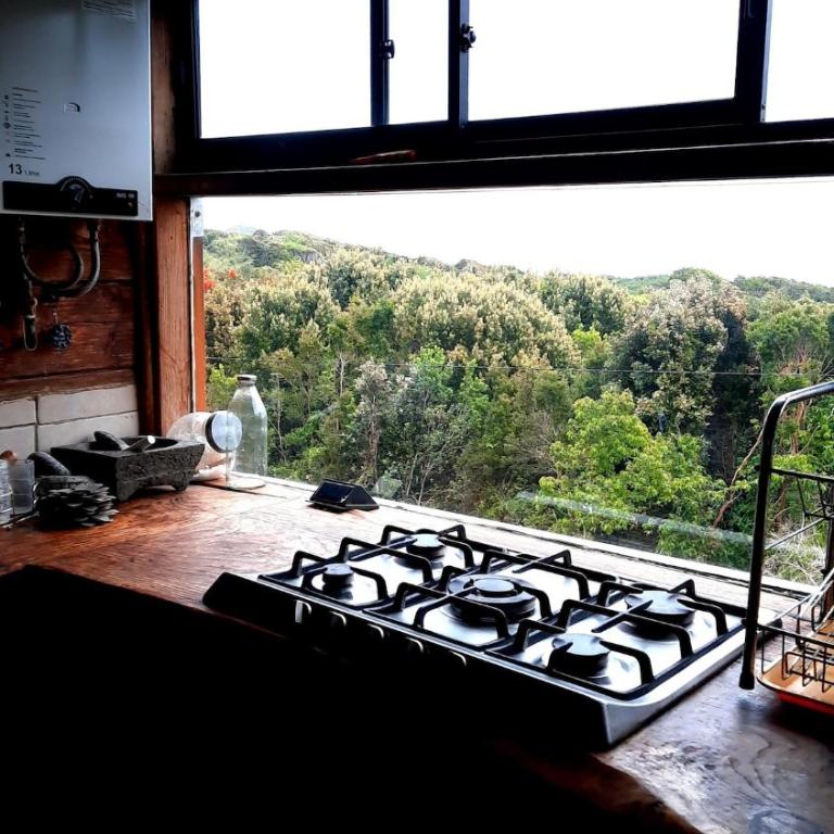 Refugio Kallfuko, a great space with nature - Four-Bedroom House - 28