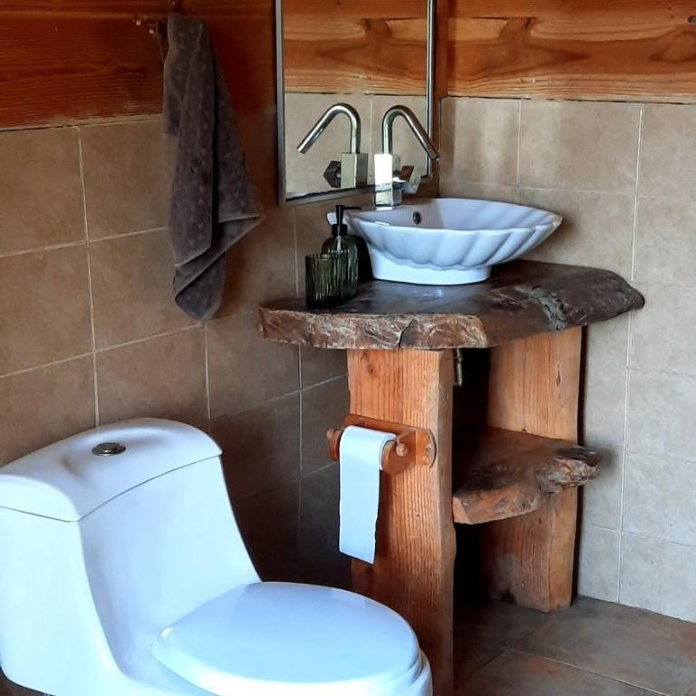 Refugio Kallfuko, a great space with nature - Four-Bedroom House - 36