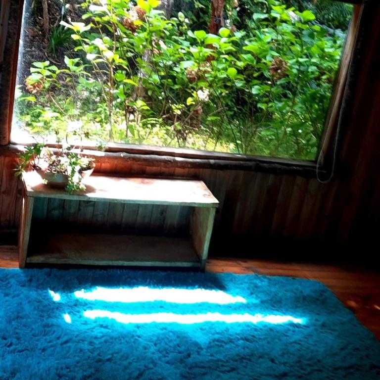 Refugio Kallfuko, a great space with nature - Four-Bedroom House - 39
