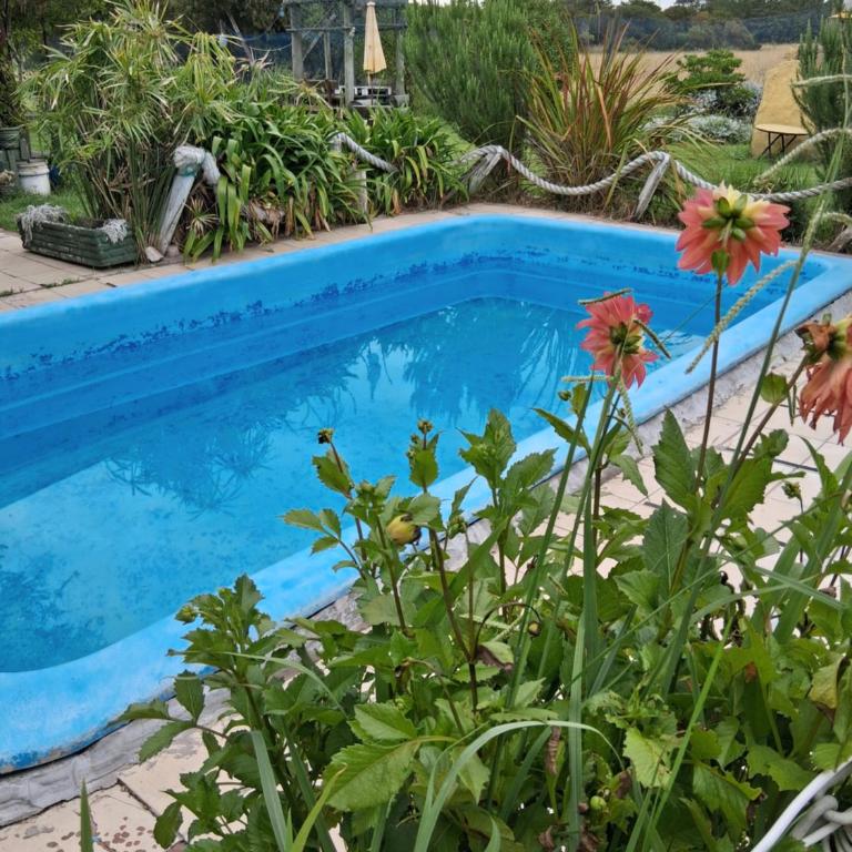 La Elegida hospedaje de playa - Casa con 1 dormitorio - 4