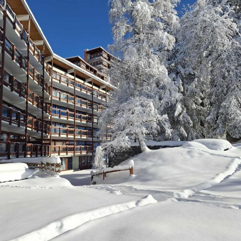 Appartement traversant 3 pièces, 8 pers, Arc 1600, proche pistes et commerces - FR-1-411-1013 - Apartment - 7
