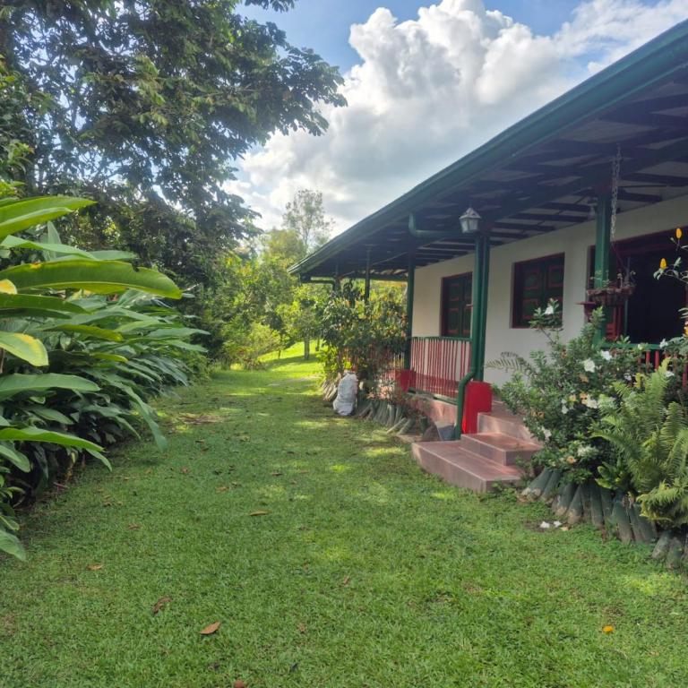 Villa Alejandra - Villa - 5