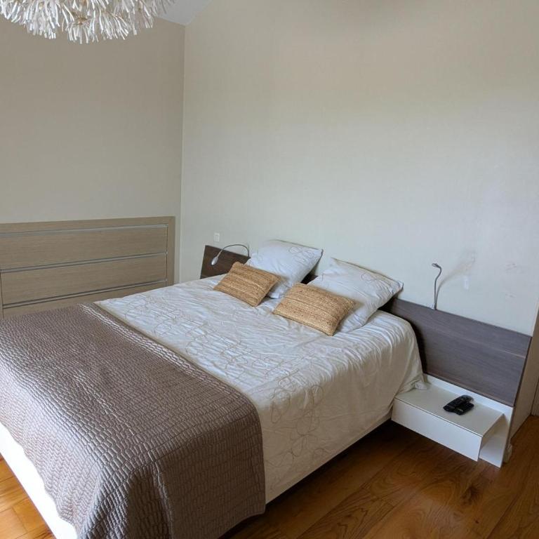Superbe villa avec piscine chauffée et jardin à 10 min du centre, pour 12 personnes - FR-1-239-1150 - Maison de Vacances - 16