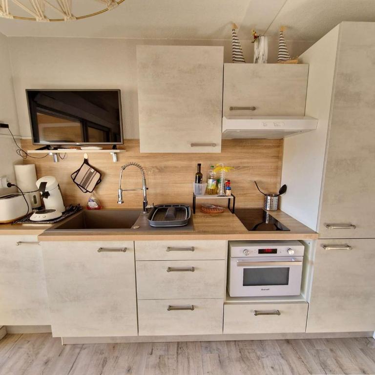 Appartement 2 pièces cabine avec terrasse et parking - FR-1-387-218 - Appartamento - 6
