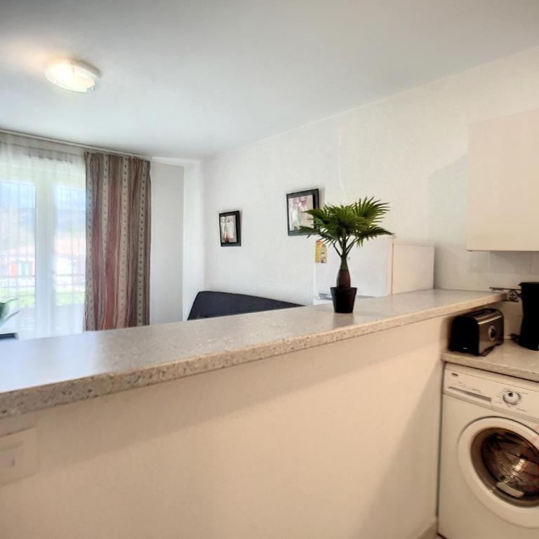 Confort F2 avec Terrasse et Animaux Acceptés - FR-1-451-224 - Appartement 1 Chambre - 5
