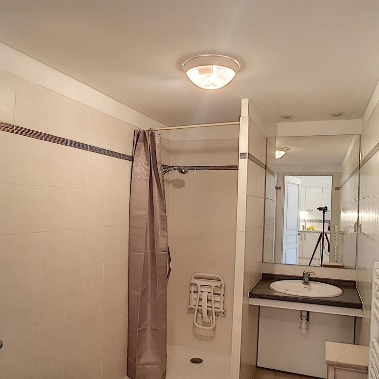 Confort F2 avec Terrasse et Animaux Acceptés - FR-1-451-224 - Appartement 1 Chambre - 10