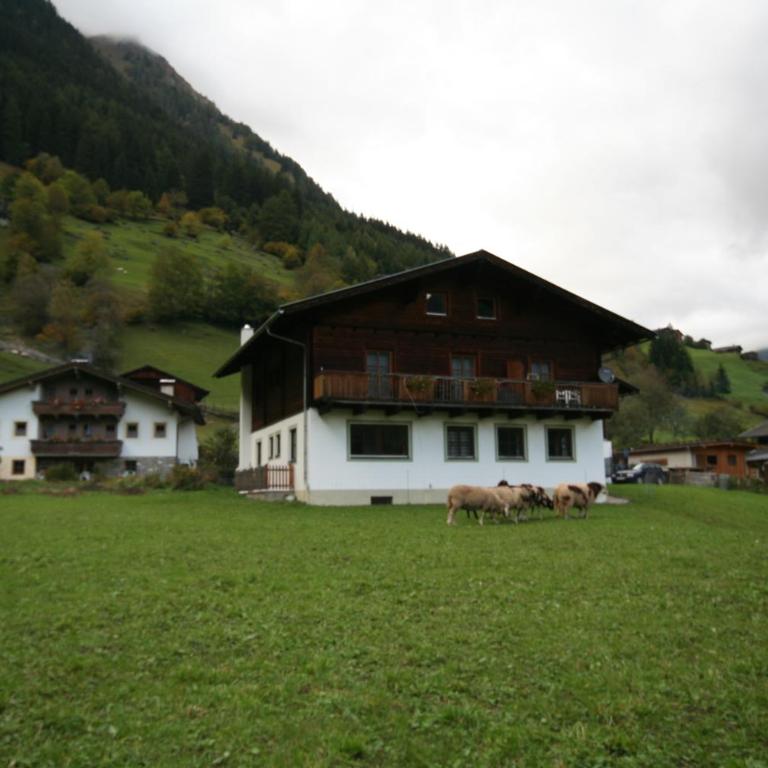 Ferienhaus Ruggenthaler - Apartment mit Blick auf die Berge - 1
