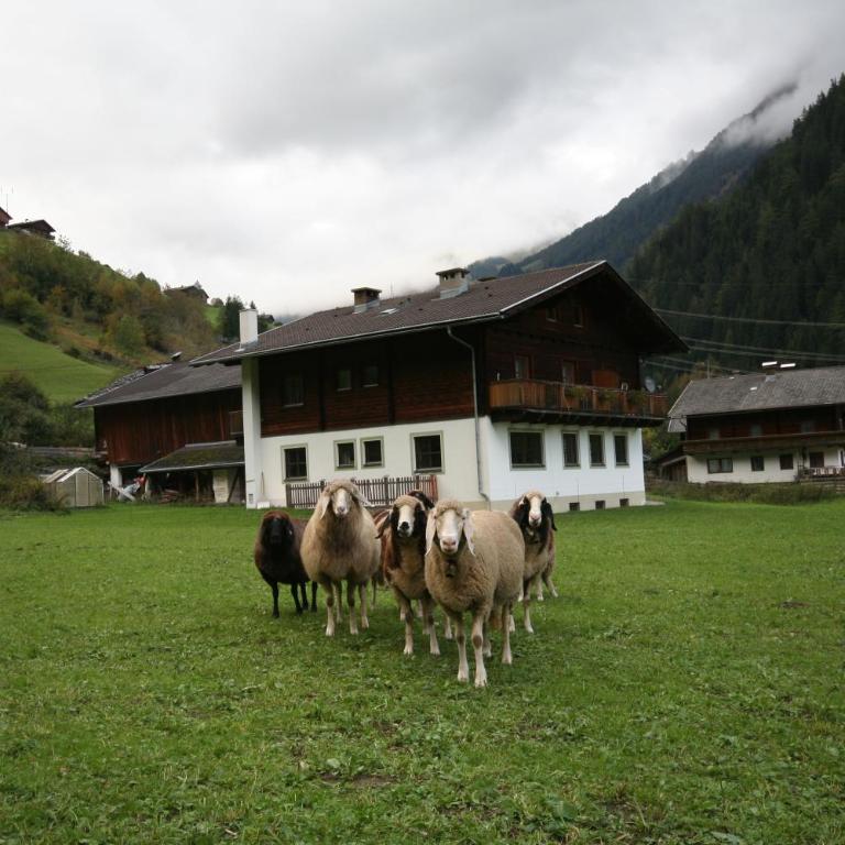 Ferienhaus Ruggenthaler - Apartment mit Balkon - 1