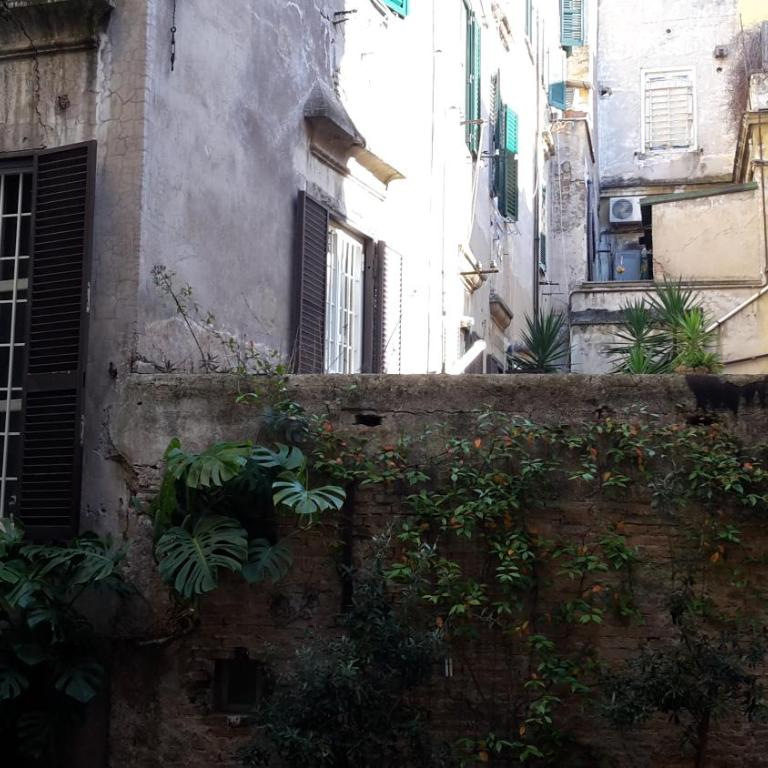 Cozy Navona Apartment - Appartamento - 26