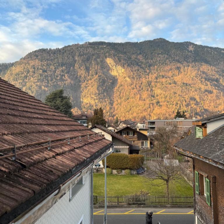 Valley Apartment - Apartment mit 1 Schlafzimmer - 18