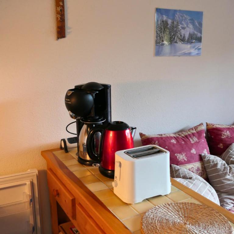 Studio au pied des pistes - Vue montagne - Appartement 1 Chambre - 22