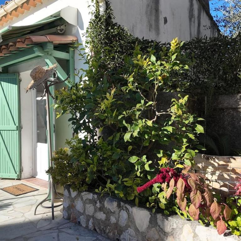 Studio climatisé cosy dans une villa avec parking - Apartment mit 1 Schlafzimmer - 6