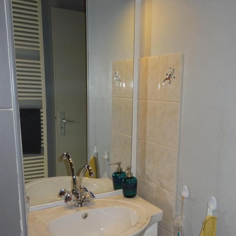 La SALAMANDRE - Appartement - 12