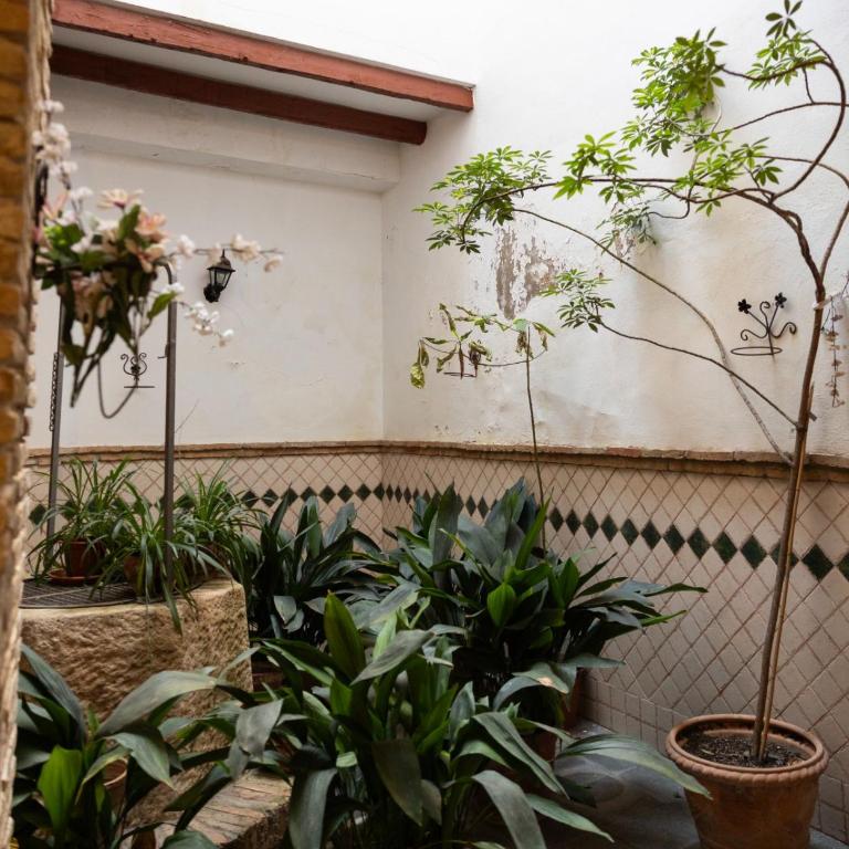 Alojamiento Casa Aurora - Two-Bedroom Apartment - 11
