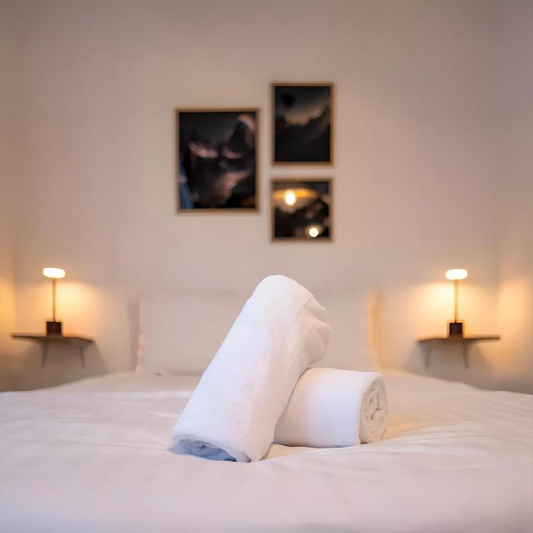 Appartement cosy entre Lac et Montagnes - Studio - 5