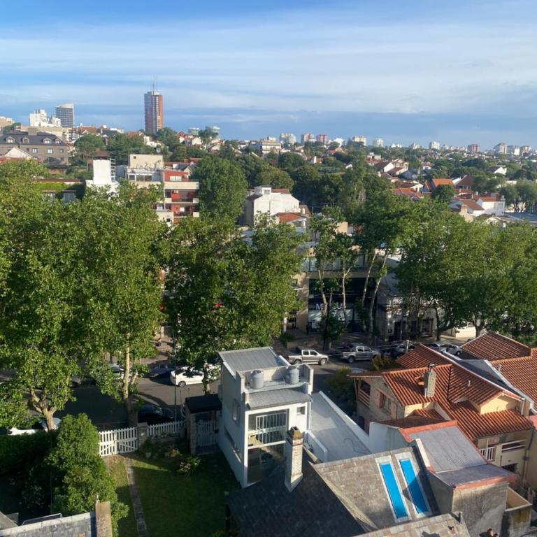 Suzzanet - Apartamento de 1 dormitorio - 11