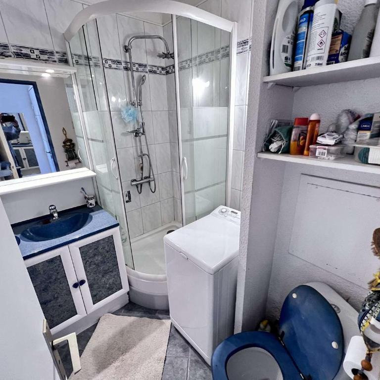 T2 Cabine avec Piscine et Parking, Animaux admis - FR-1-702-75 - Appartamento - 13