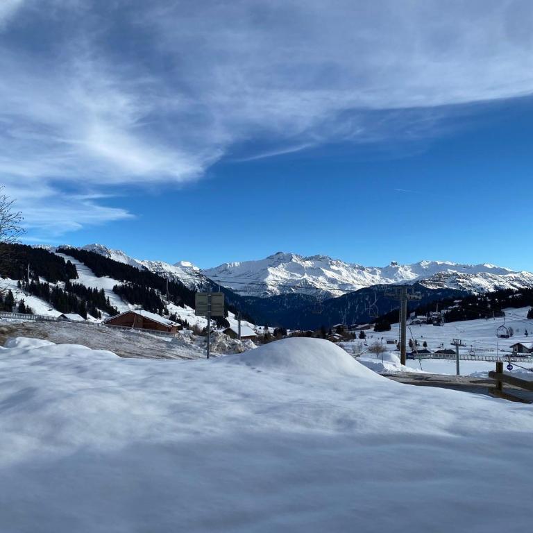 Studio aux Saisies pour 2 pers, proche pistes - FR-1-293-419 - Studio - 8