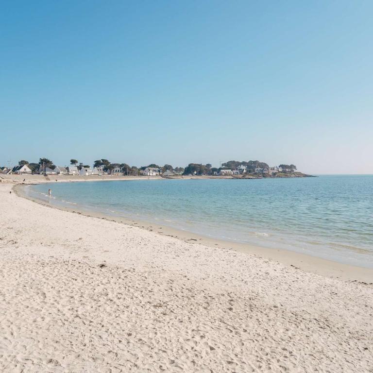Appartement 4 pièces à Carnac - Vue mer, terrasse, parking, accepte animaux - FR-1-477-72 - Appartement - 18