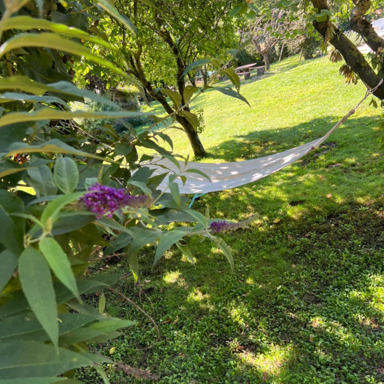 Panoramic villa with pool-COLLINABLU - Villa con Piscina Privata - 68