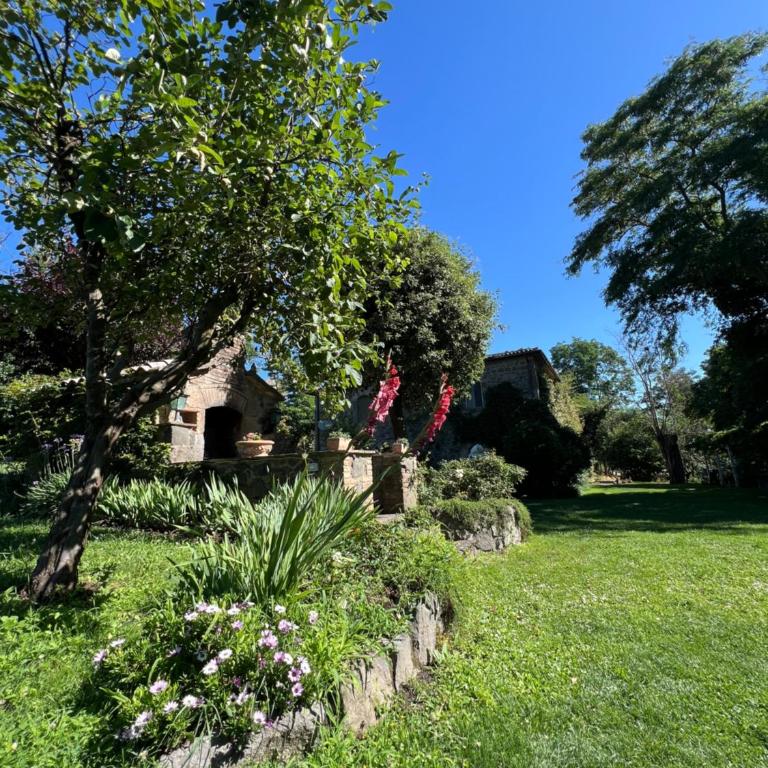 Panoramic villa with pool-COLLINABLU - Villa con Piscina Privata - 48