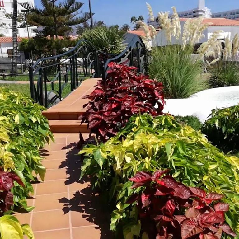 Fantástico Bungalow Santa Clara - Two-Bedroom Apartment - 39