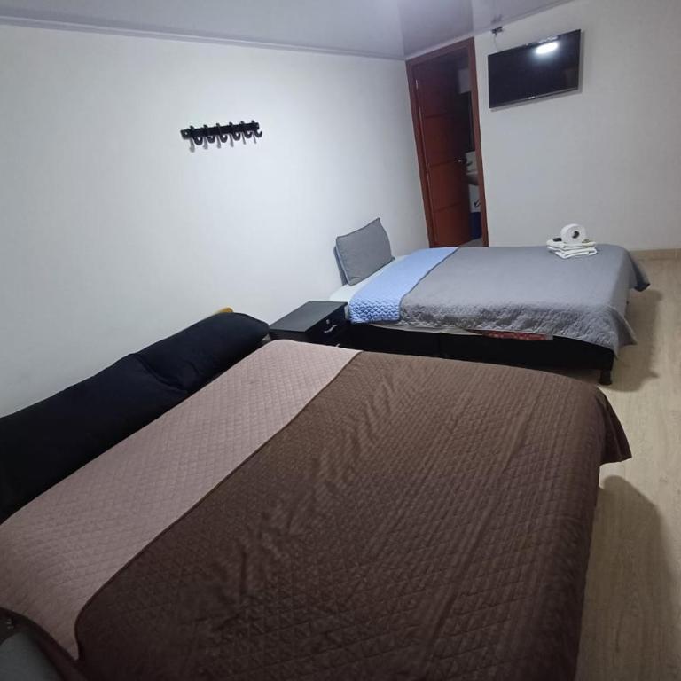 Bohemia Hotel - Double or Twin Room - 2