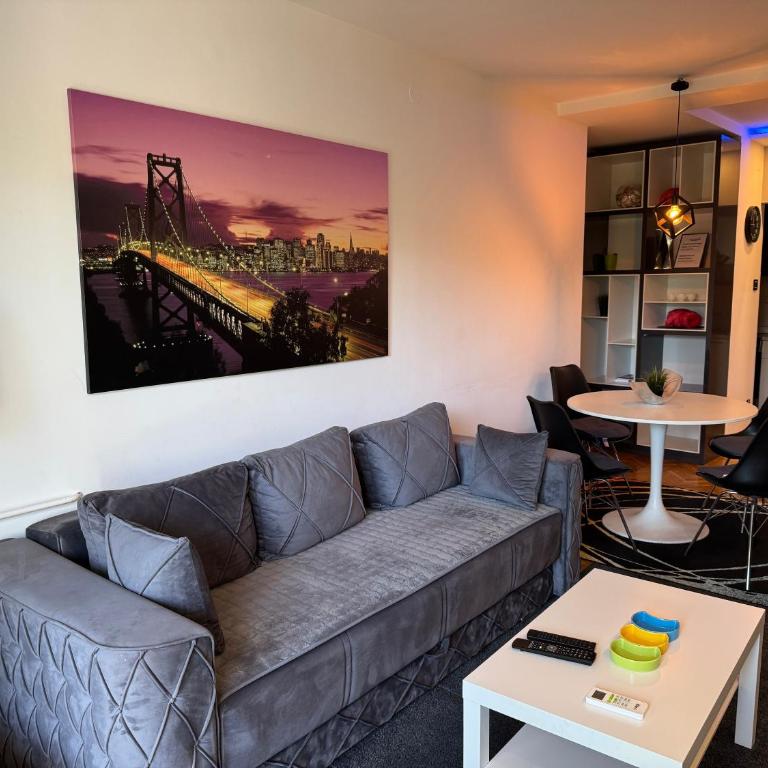 Apartment Vračar - Apartman sa 2 Spavaće Sobe - 3