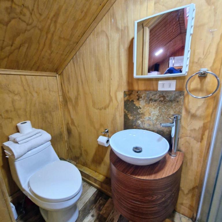 Wildepartamentos Valdivia ER - Apartamento - 6