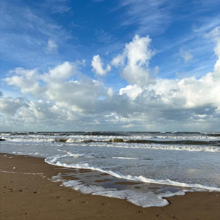 Agréable appartement au cœur de Cabourg - Apartment mit 1 Schlafzimmer - 6