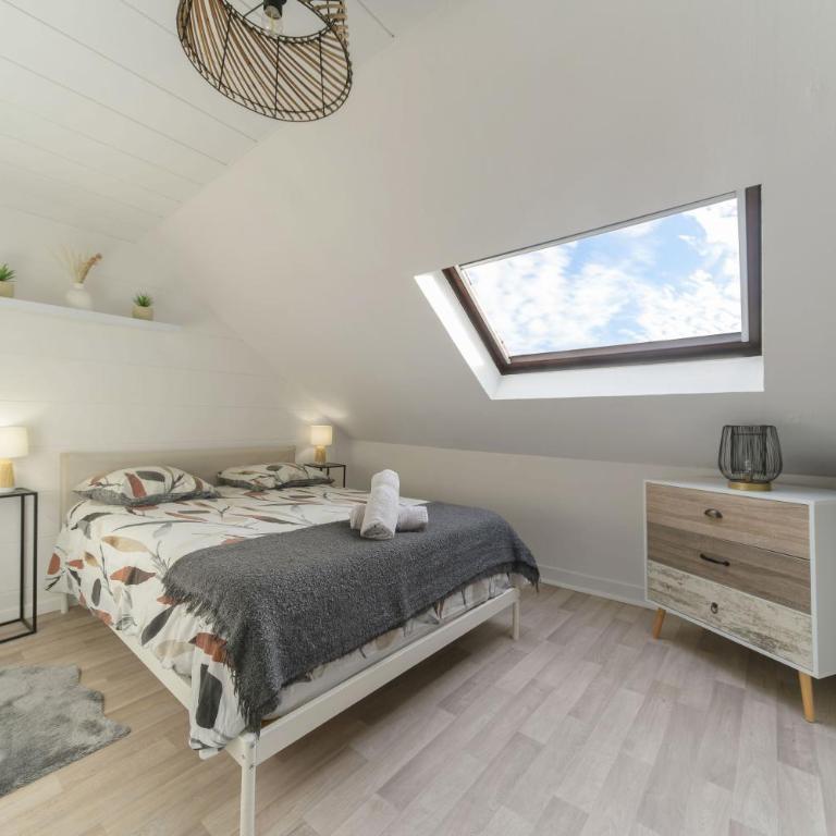 Le Cedre - Appartement cosy dans le centre de Vichy - Appartamento con 1 Camera da Letto - 4