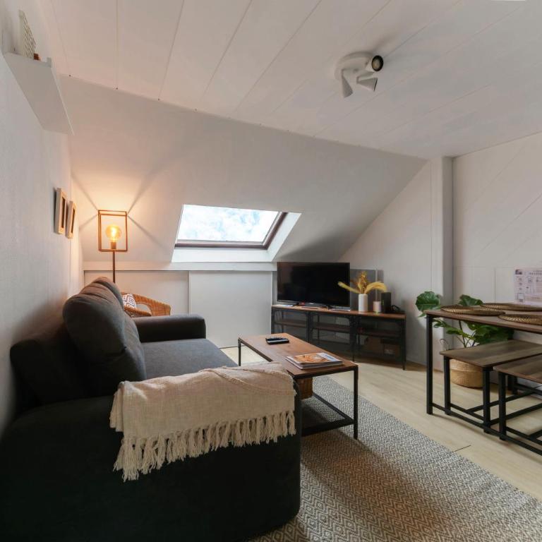 Le Cedre - Appartement cosy dans le centre de Vichy - Appartamento con 1 Camera da Letto - 8