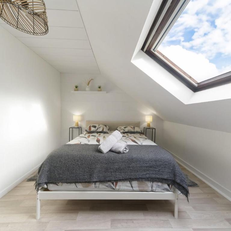 Le Cedre - Appartement cosy dans le centre de Vichy - Appartamento con 1 Camera da Letto - 3