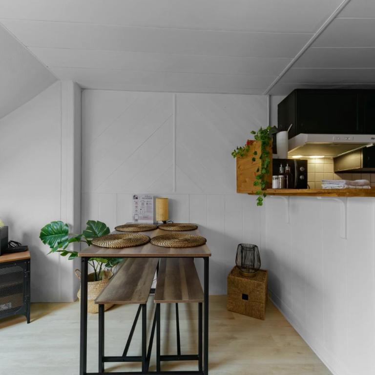 Le Cedre - Appartement cosy dans le centre de Vichy - Appartamento con 1 Camera da Letto - 17