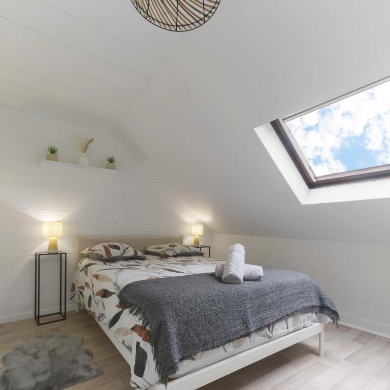 Le Cedre - Appartement cosy dans le centre de Vichy - Appartamento con 1 Camera da Letto - 2