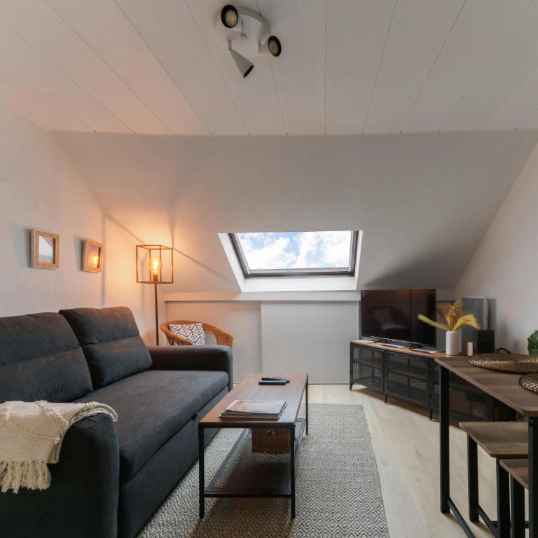 Le Cedre - Appartement cosy dans le centre de Vichy - Appartamento con 1 Camera da Letto - 14