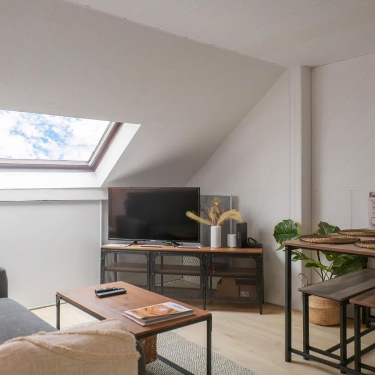 Le Cedre - Appartement cosy dans le centre de Vichy - Appartamento con 1 Camera da Letto - 15