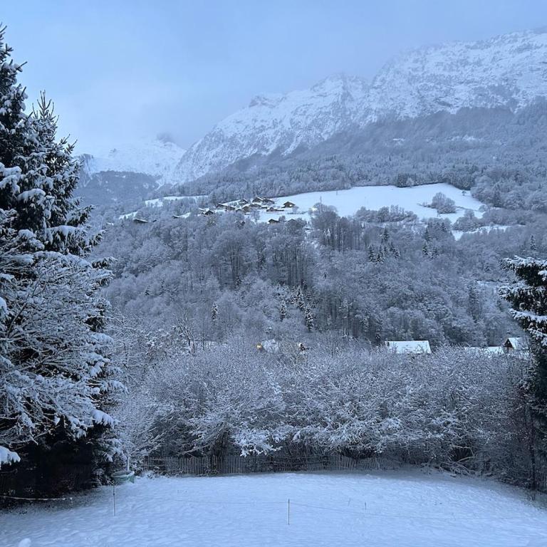 Petit cocon indépendant, vue montagne, proche aravis, lac - Appartement 1 Chambre - 14