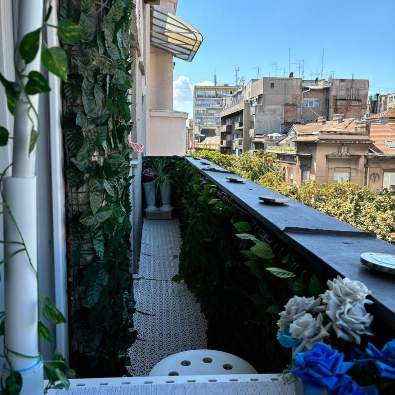 Kneginje Ljubice apartment - One-Bedroom Apartment - 6