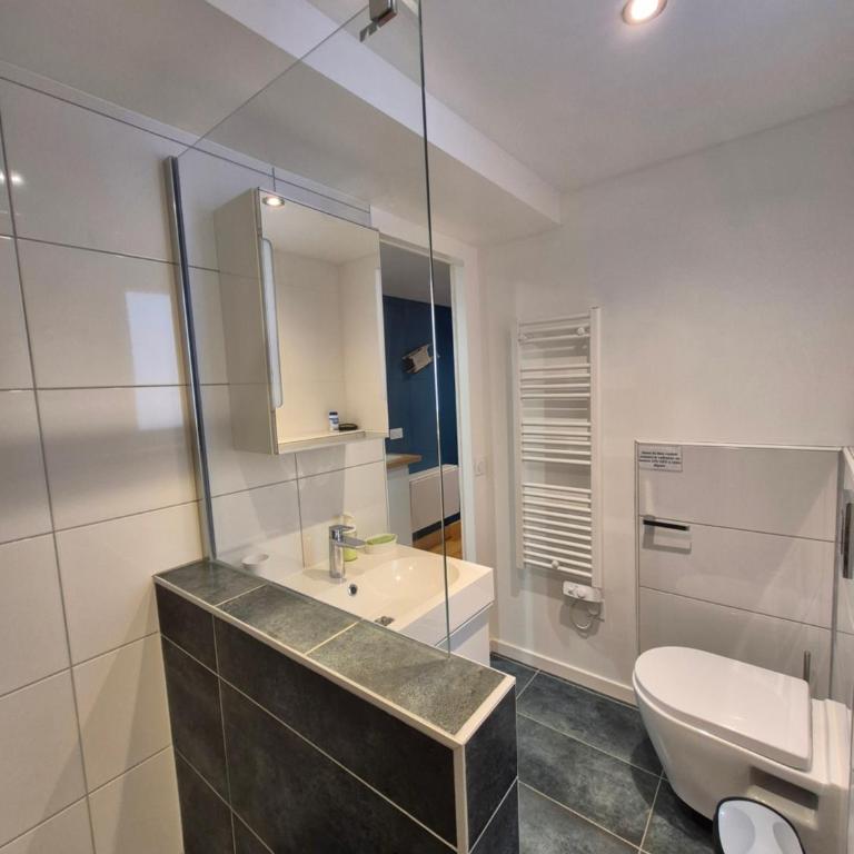 STUDIO10 Cocon lumineux - WIFI - Confort - simplicité - Appartement 1 Chambre - 11