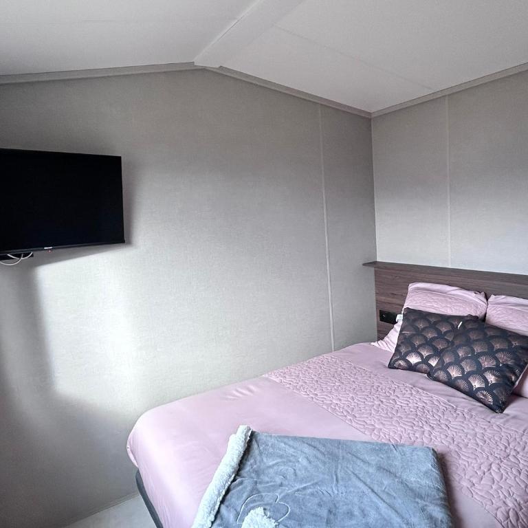 La Tiny de Queuvaz - Haute Savoie - Maison 1 Chambre - 14
