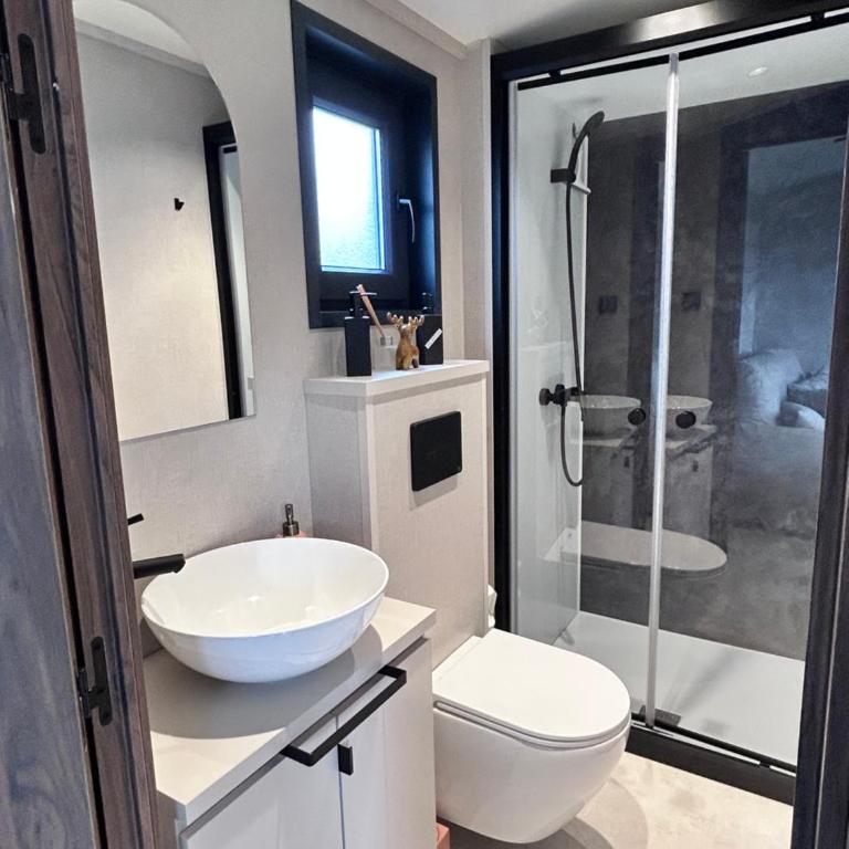 La Tiny de Queuvaz - Haute Savoie - Maison 1 Chambre - 13