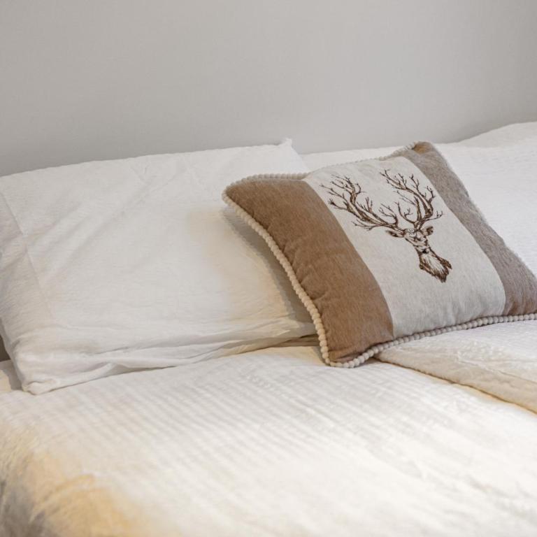 Bergstudio II I Flims Laax I Ski I Berg I Gratis Parkplatz - Studio-Apartment mit 1 Doppelbett - 5