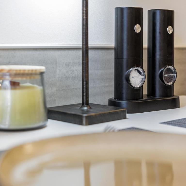 Bergstudio II I Flims Laax I Ski I Berg I Gratis Parkplatz - Studio-Apartment mit 1 Doppelbett - 23